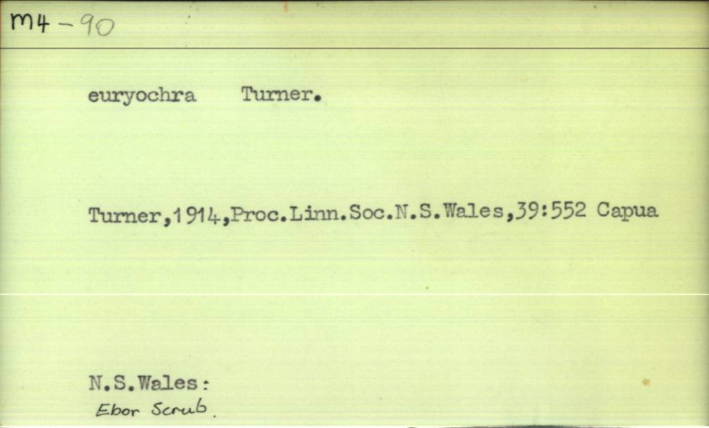 front of card